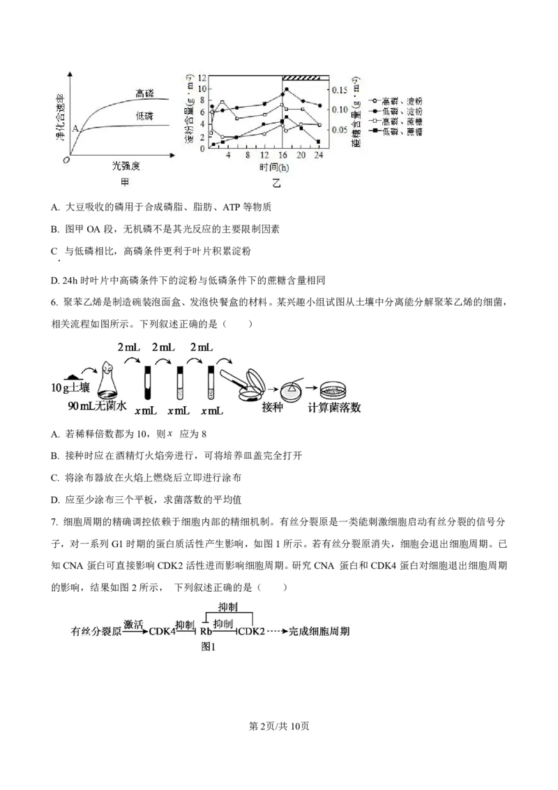 生物试卷-厦门双十中学2024-2025学年高三上暑假阶段性训练_2025年8月_250813福建省厦门双十中学2024-2025学年高三上暑假阶段性训练