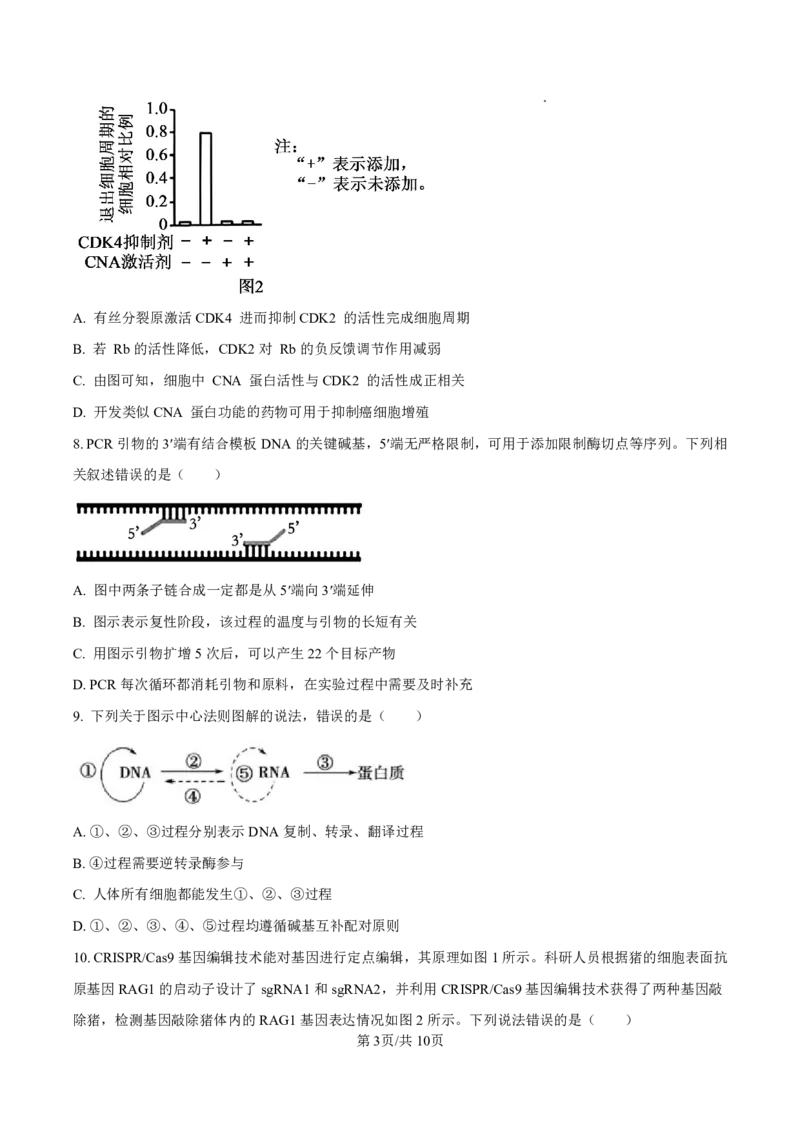 生物试卷-厦门双十中学2024-2025学年高三上暑假阶段性训练_2025年8月_250813福建省厦门双十中学2024-2025学年高三上暑假阶段性训练