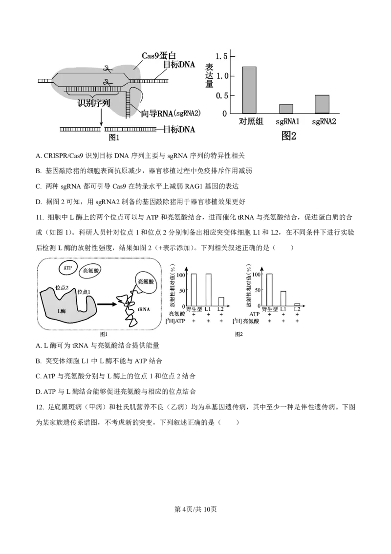 生物试卷-厦门双十中学2024-2025学年高三上暑假阶段性训练_2025年8月_250813福建省厦门双十中学2024-2025学年高三上暑假阶段性训练