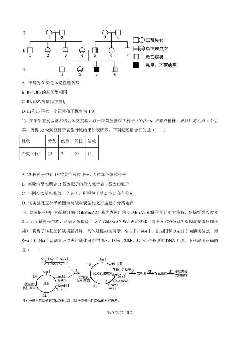 生物试卷-厦门双十中学2024-2025学年高三上暑假阶段性训练_2025年8月_250813福建省厦门双十中学2024-2025学年高三上暑假阶段性训练