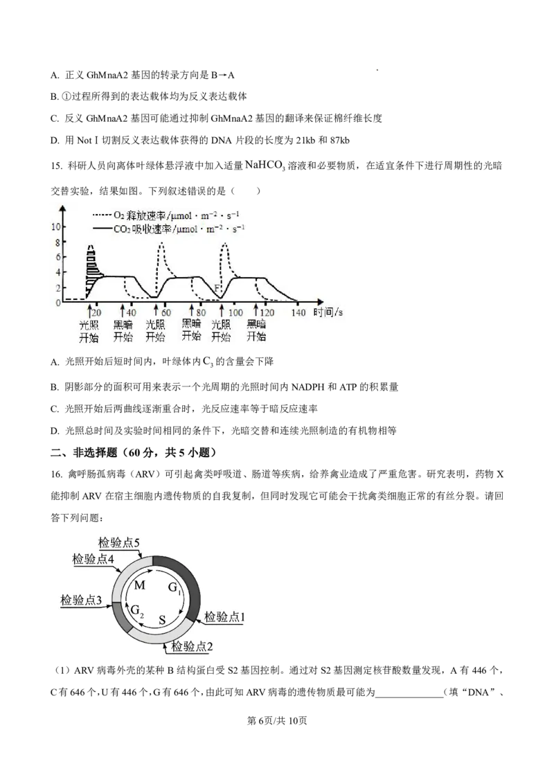 生物试卷-厦门双十中学2024-2025学年高三上暑假阶段性训练_2025年8月_250813福建省厦门双十中学2024-2025学年高三上暑假阶段性训练