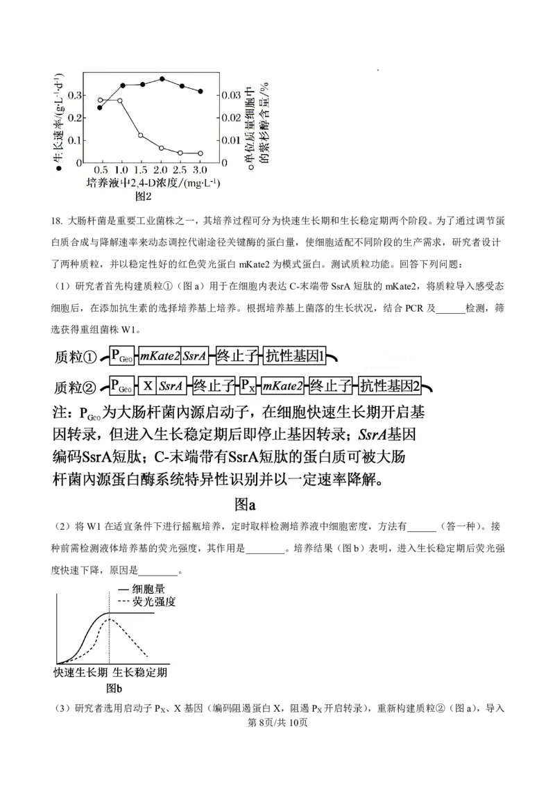 生物试卷-厦门双十中学2024-2025学年高三上暑假阶段性训练_2025年8月_250813福建省厦门双十中学2024-2025学年高三上暑假阶段性训练