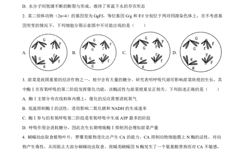 生物试卷-厦门双十中学2024-2025学年高三上暑假阶段性训练_2025年8月_250813福建省厦门双十中学2024-2025学年高三上暑假阶段性训练