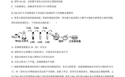 生物试卷-厦门双十中学2024-2025学年高三上暑假阶段性训练_2025年8月_250813福建省厦门双十中学2024-2025学年高三上暑假阶段性训练