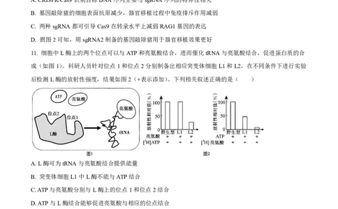 生物试卷-厦门双十中学2024-2025学年高三上暑假阶段性训练_2025年8月_250813福建省厦门双十中学2024-2025学年高三上暑假阶段性训练