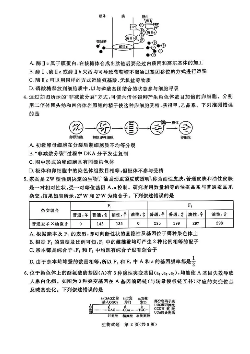 河南五市2025届高三期末生物试题及答案_2025年1月_250121河南普通高中（青桐鸣大联考）2024-2025学年（上）高三年级期末考试