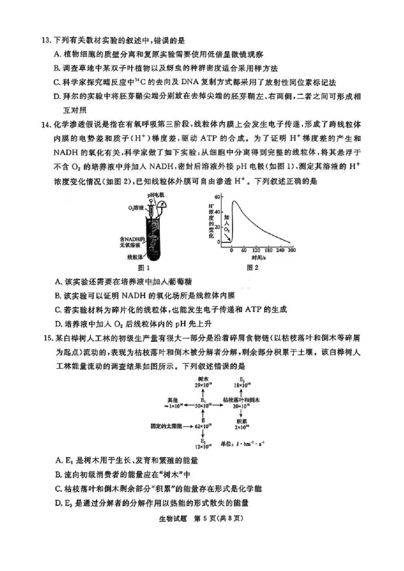 河南五市2025届高三期末生物试题及答案_2025年1月_250121河南普通高中（青桐鸣大联考）2024-2025学年（上）高三年级期末考试