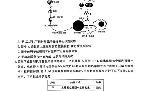 河南五市2025届高三期末生物试题及答案_2025年1月_250121河南普通高中（青桐鸣大联考）2024-2025学年（上）高三年级期末考试