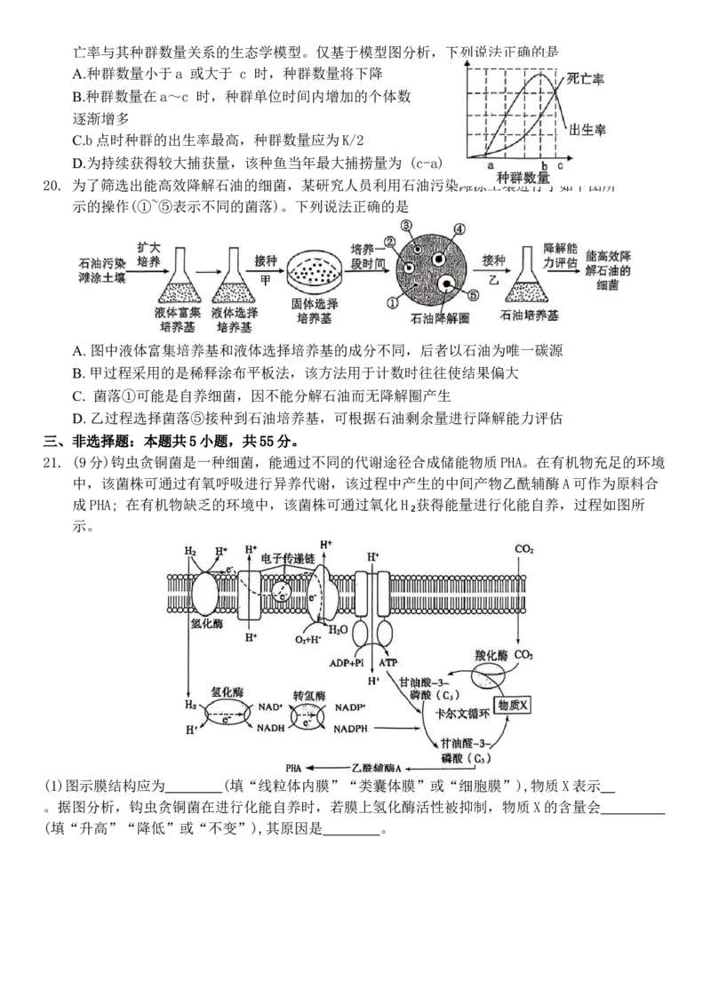 山东省烟台市2025届高三一模考试生物试题（含答案）_2025年3月_250305山东省烟台市、德州市、东营市2025年3月高三高考诊断性测试（一模）（全科）