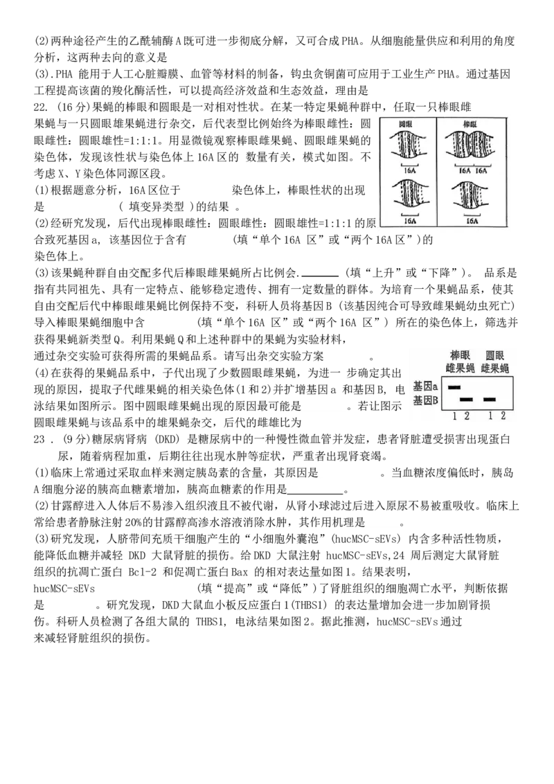 山东省烟台市2025届高三一模考试生物试题（含答案）_2025年3月_250305山东省烟台市、德州市、东营市2025年3月高三高考诊断性测试（一模）（全科）