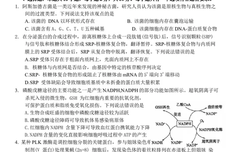 山东省烟台市2025届高三一模考试生物试题（含答案）_2025年3月_250305山东省烟台市、德州市、东营市2025年3月高三高考诊断性测试（一模）（全科）