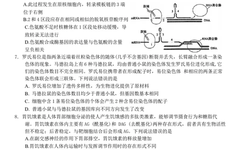 山东省烟台市2025届高三一模考试生物试题（含答案）_2025年3月_250305山东省烟台市、德州市、东营市2025年3月高三高考诊断性测试（一模）（全科）