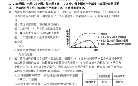 山东省烟台市2025届高三一模考试生物试题（含答案）_2025年3月_250305山东省烟台市、德州市、东营市2025年3月高三高考诊断性测试（一模）（全科）