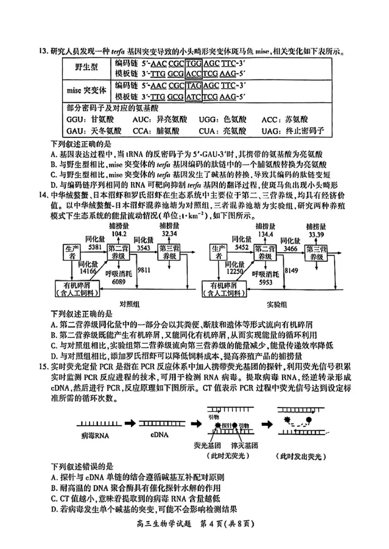 厦门市2025届高三毕业班第二次质量检测生物试题（含答案）_2025年3月_250308福建省厦门市2025届高三毕业班第二次质量检测（全科）