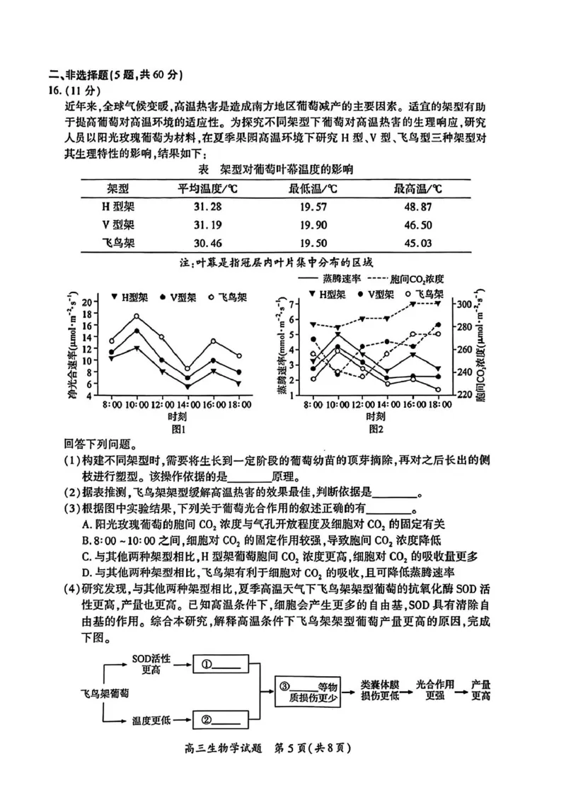 厦门市2025届高三毕业班第二次质量检测生物试题（含答案）_2025年3月_250308福建省厦门市2025届高三毕业班第二次质量检测（全科）