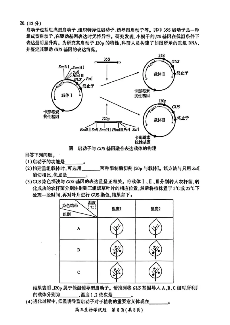 厦门市2025届高三毕业班第二次质量检测生物试题（含答案）_2025年3月_250308福建省厦门市2025届高三毕业班第二次质量检测（全科）