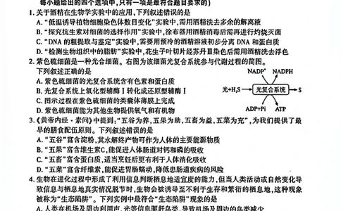 厦门市2025届高三毕业班第二次质量检测生物试题（含答案）_2025年3月_250308福建省厦门市2025届高三毕业班第二次质量检测（全科）
