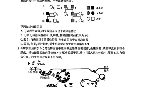 厦门市2025届高三毕业班第二次质量检测生物试题（含答案）_2025年3月_250308福建省厦门市2025届高三毕业班第二次质量检测（全科）