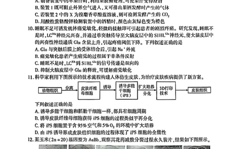 厦门市2025届高三毕业班第二次质量检测生物试题（含答案）_2025年3月_250308福建省厦门市2025届高三毕业班第二次质量检测（全科）