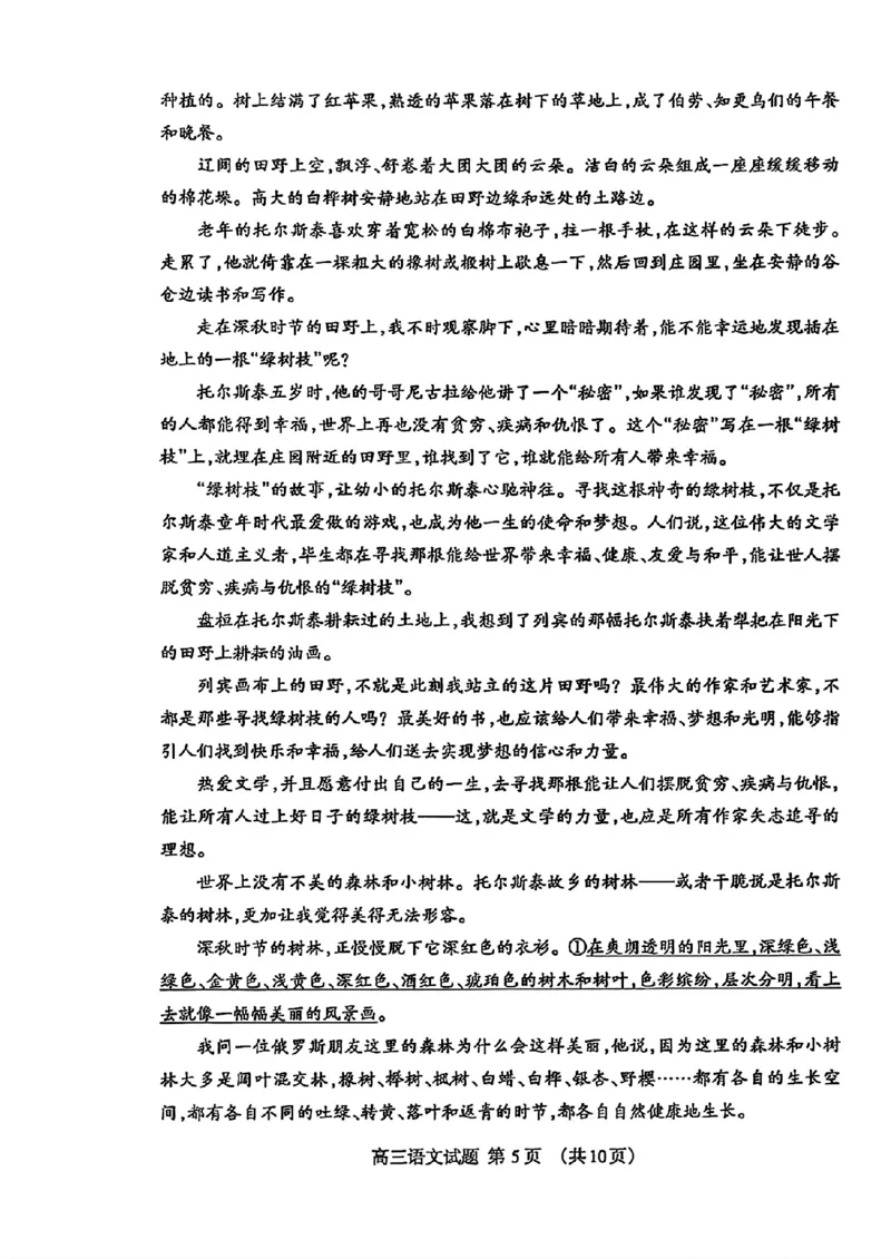 语文试题_2025年3月_250308山东省泰安市2025届高三一轮检测（泰安一模）（全科）_山东省泰安市2025届高三一轮检测（泰安一模）语文