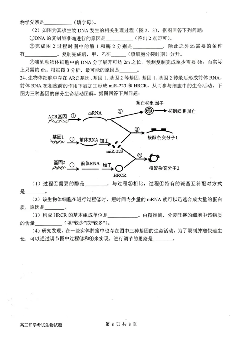 河南省南阳市第一中学2026届高三上学期开学考试生物含答案_2025年9月_250908河南省南阳市第一中学2026届高三上学期开学考试（全科）