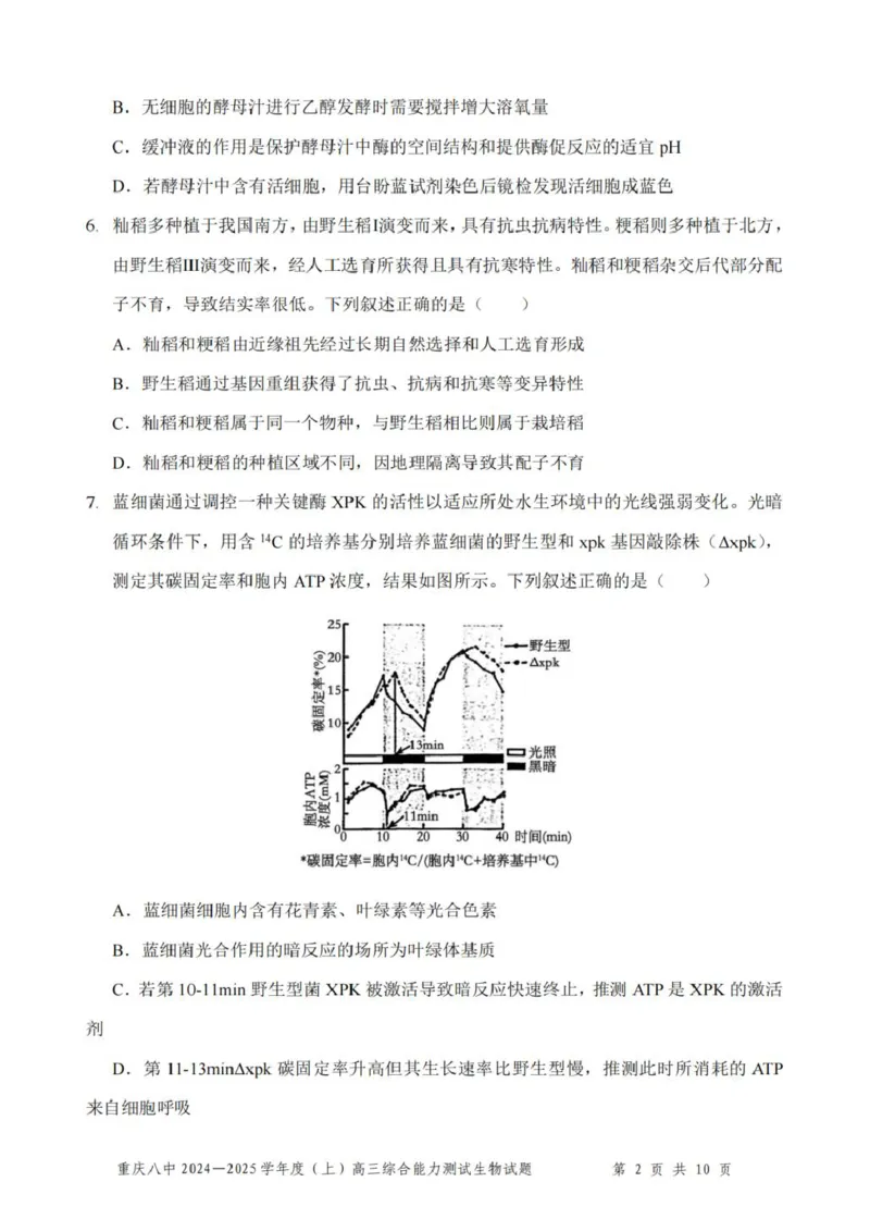 重庆市第八中学2025届高三上学期1月综合能力测试（期末）生物PDF版含答案_2025年1月_250108重庆市第八中学2025届高三上学期1月综合能力测试（期末）（全科）