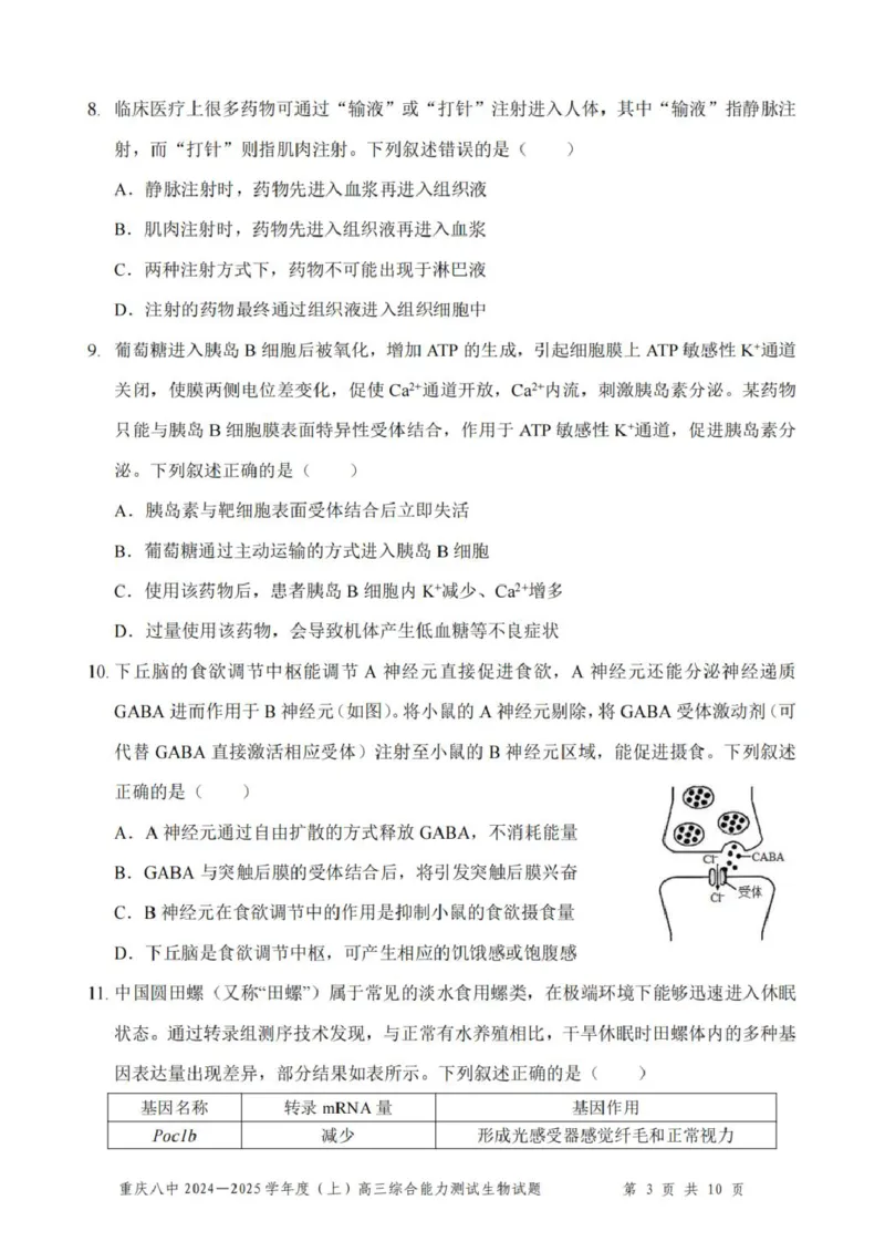 重庆市第八中学2025届高三上学期1月综合能力测试（期末）生物PDF版含答案_2025年1月_250108重庆市第八中学2025届高三上学期1月综合能力测试（期末）（全科）