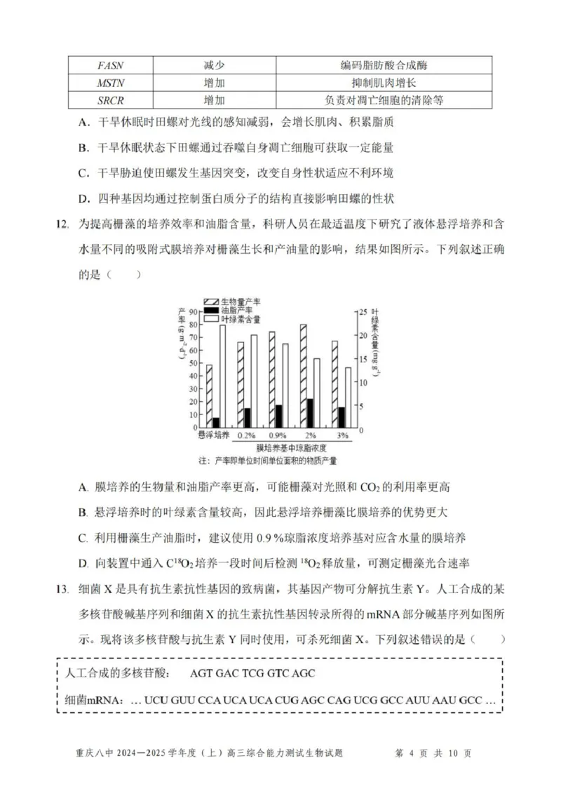 重庆市第八中学2025届高三上学期1月综合能力测试（期末）生物PDF版含答案_2025年1月_250108重庆市第八中学2025届高三上学期1月综合能力测试（期末）（全科）