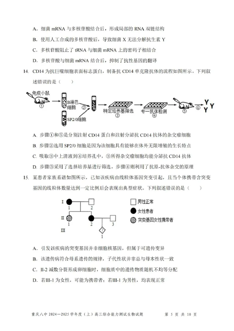 重庆市第八中学2025届高三上学期1月综合能力测试（期末）生物PDF版含答案_2025年1月_250108重庆市第八中学2025届高三上学期1月综合能力测试（期末）（全科）
