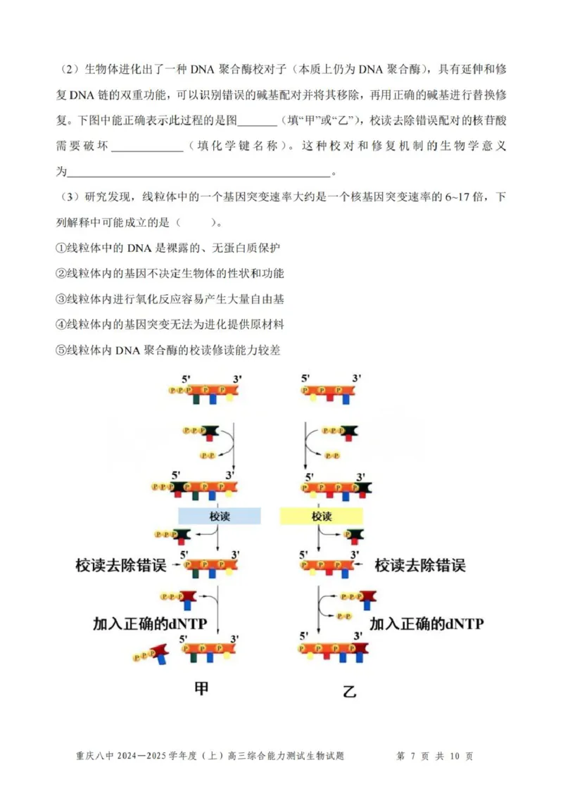 重庆市第八中学2025届高三上学期1月综合能力测试（期末）生物PDF版含答案_2025年1月_250108重庆市第八中学2025届高三上学期1月综合能力测试（期末）（全科）