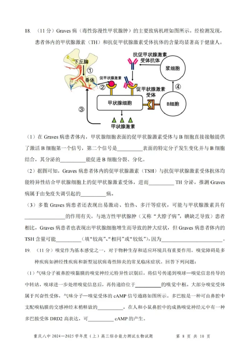 重庆市第八中学2025届高三上学期1月综合能力测试（期末）生物PDF版含答案_2025年1月_250108重庆市第八中学2025届高三上学期1月综合能力测试（期末）（全科）