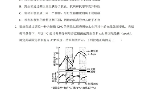 重庆市第八中学2025届高三上学期1月综合能力测试（期末）生物PDF版含答案_2025年1月_250108重庆市第八中学2025届高三上学期1月综合能力测试（期末）（全科）