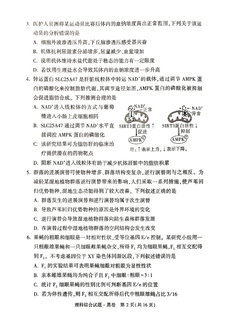 ok黑白卷黑卷理综_2024高考押题卷_32024腾远黑白卷_2024黑白卷（语理数英理综）_黑卷