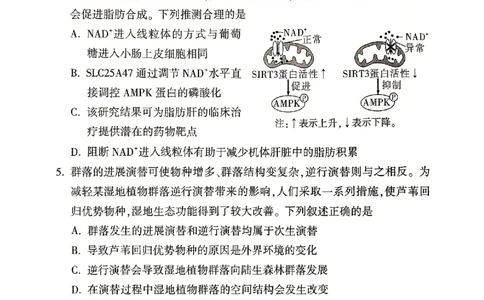 ok黑白卷黑卷理综_2024高考押题卷_32024腾远黑白卷_2024黑白卷（语理数英理综）_黑卷