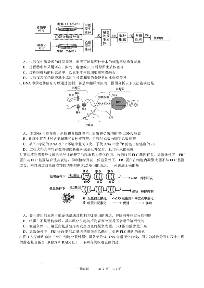绵阳南山中学实验学校2025-2026学年高三上学期9月月考+生物_2025年9月_250907绵阳南山中学实验学校2025-2026学年高三上学期9月月考