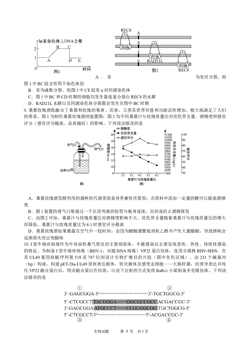 绵阳南山中学实验学校2025-2026学年高三上学期9月月考+生物_2025年9月_250907绵阳南山中学实验学校2025-2026学年高三上学期9月月考