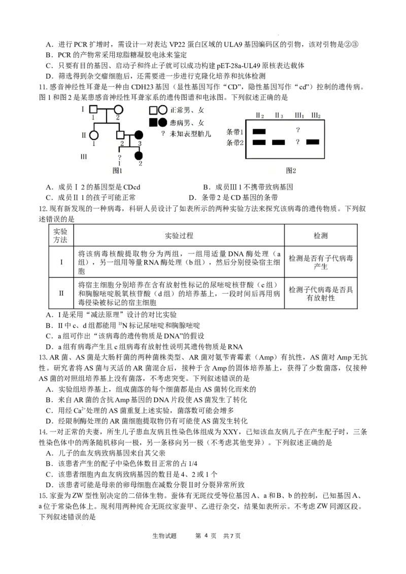 绵阳南山中学实验学校2025-2026学年高三上学期9月月考+生物_2025年9月_250907绵阳南山中学实验学校2025-2026学年高三上学期9月月考