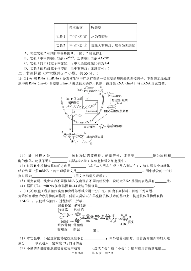 绵阳南山中学实验学校2025-2026学年高三上学期9月月考+生物_2025年9月_250907绵阳南山中学实验学校2025-2026学年高三上学期9月月考