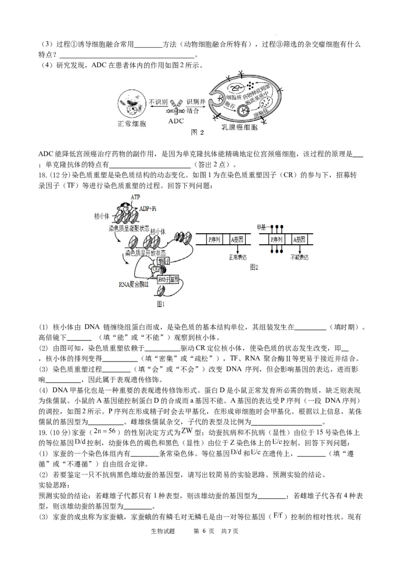绵阳南山中学实验学校2025-2026学年高三上学期9月月考+生物_2025年9月_250907绵阳南山中学实验学校2025-2026学年高三上学期9月月考