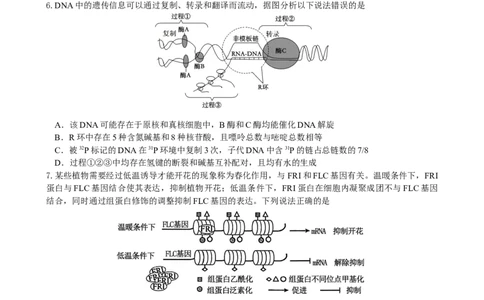 绵阳南山中学实验学校2025-2026学年高三上学期9月月考+生物_2025年9月_250907绵阳南山中学实验学校2025-2026学年高三上学期9月月考