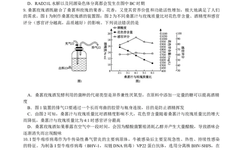 绵阳南山中学实验学校2025-2026学年高三上学期9月月考+生物_2025年9月_250907绵阳南山中学实验学校2025-2026学年高三上学期9月月考