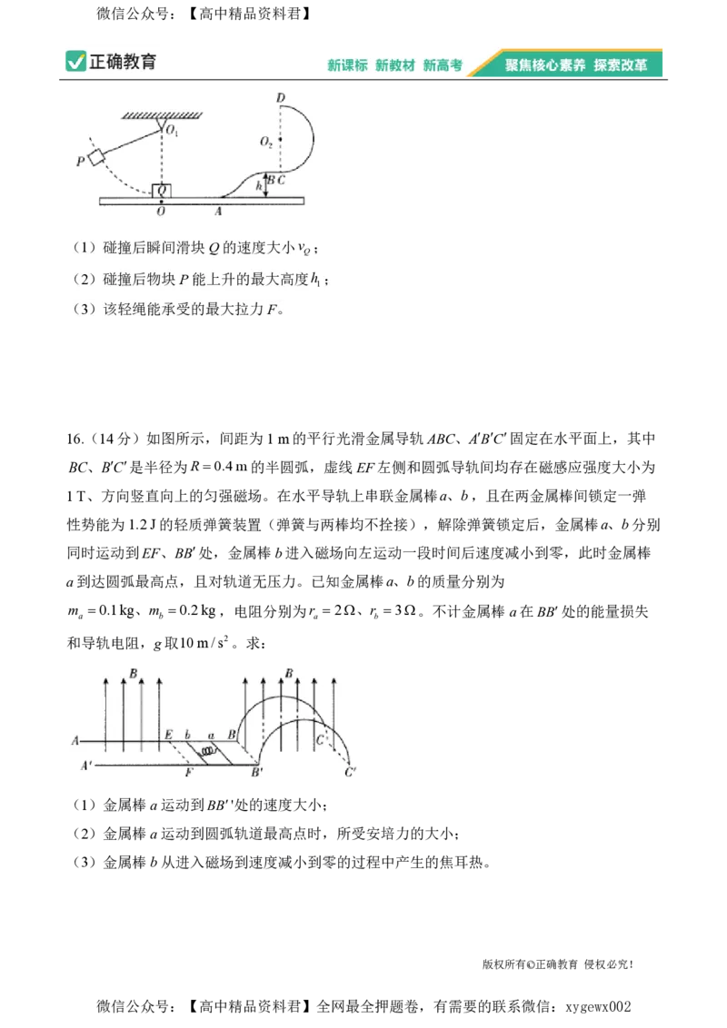 2024届明日之星高考物理精英模拟卷江苏版_2024高考押题卷_72024正确教育全系列_2024明日之星全系列_（新高考）2024《明日之星&middot;高考精英模拟卷》（九科全）各一套