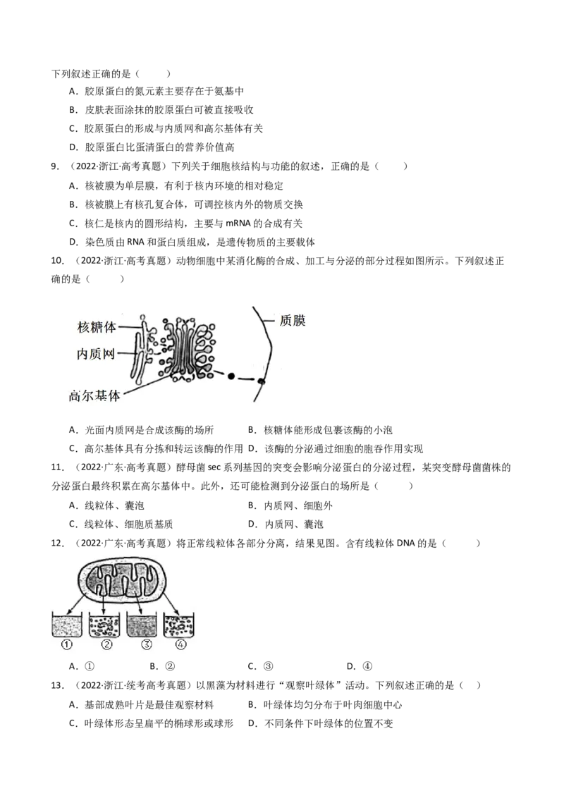 专题02细胞的结构和功能（原卷卷）_近10年高考真题汇编（必刷）_十年（2014-2024）高考生物真题分项汇编（全国通用）_十年（2014-2023）高考生物真题分项汇编（全国通用）