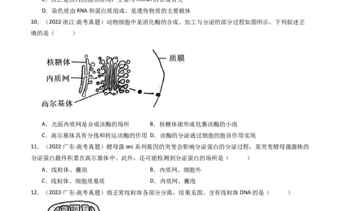 专题02细胞的结构和功能（原卷卷）_近10年高考真题汇编（必刷）_十年（2014-2024）高考生物真题分项汇编（全国通用）_十年（2014-2023）高考生物真题分项汇编（全国通用）