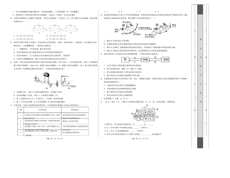 高二生物上学期第一次月考（陕晋青宁专用）（考试版A3）_1多考区联考试卷_2510142025-2026学年高二生物上学期第一次月考试题