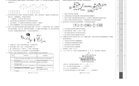 高二生物上学期第一次月考（陕晋青宁专用）（考试版A3）_1多考区联考试卷_2510142025-2026学年高二生物上学期第一次月考试题