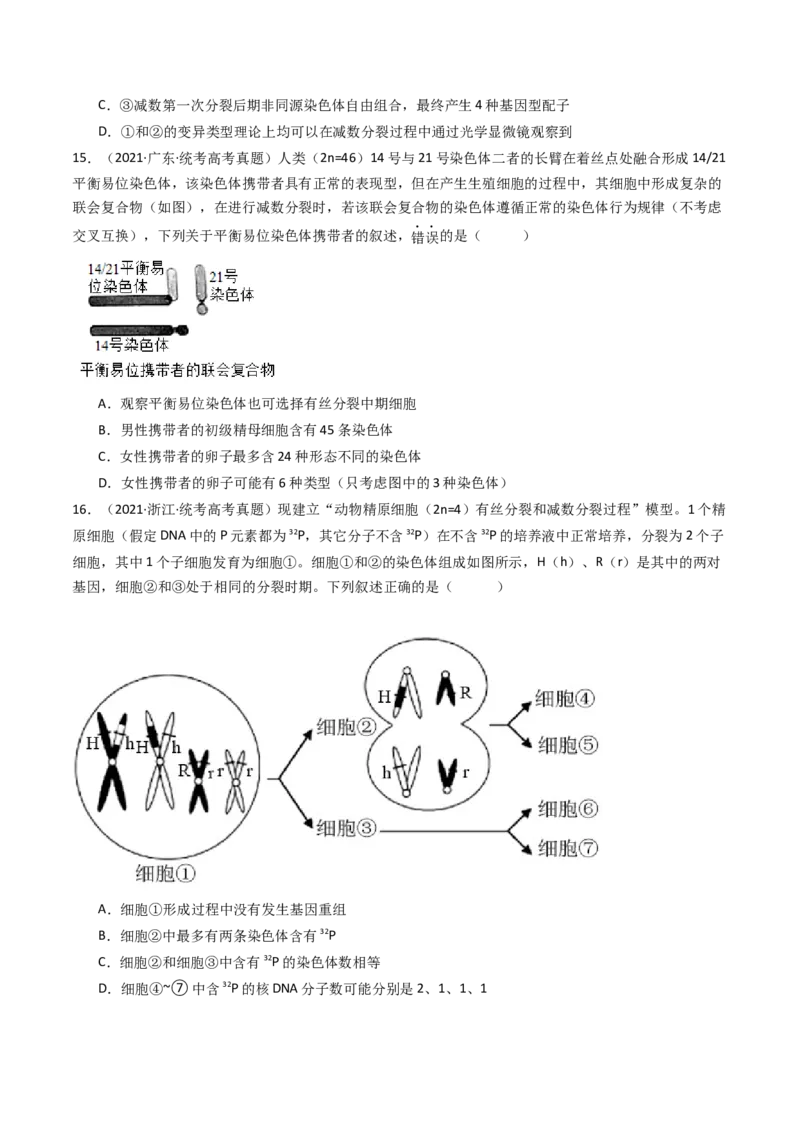 专题08有丝分裂和减数分裂（原卷卷）_近10年高考真题汇编（必刷）_十年（2014-2024）高考生物真题分项汇编（全国通用）_十年（2014-2023）高考生物真题分项汇编（全国通用）