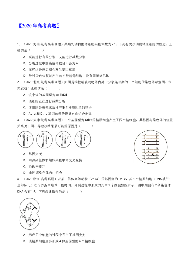 专题08有丝分裂和减数分裂（原卷卷）_近10年高考真题汇编（必刷）_十年（2014-2024）高考生物真题分项汇编（全国通用）_十年（2014-2023）高考生物真题分项汇编（全国通用）