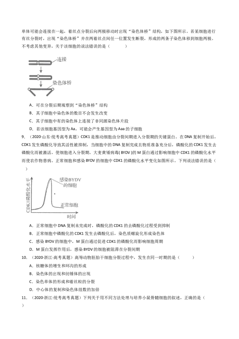 专题08有丝分裂和减数分裂（原卷卷）_近10年高考真题汇编（必刷）_十年（2014-2024）高考生物真题分项汇编（全国通用）_十年（2014-2023）高考生物真题分项汇编（全国通用）