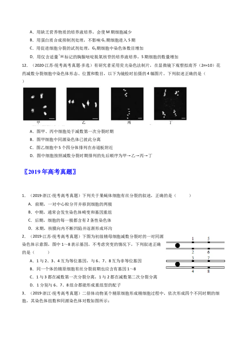 专题08有丝分裂和减数分裂（原卷卷）_近10年高考真题汇编（必刷）_十年（2014-2024）高考生物真题分项汇编（全国通用）_十年（2014-2023）高考生物真题分项汇编（全国通用）
